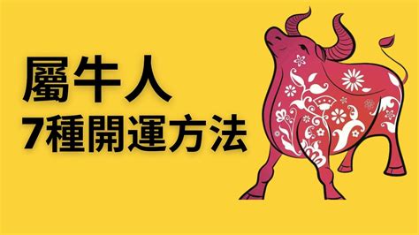 2023屬牛運勢|2023年属牛事业，财运，感情婚姻，健康运势及每月运程详解大。